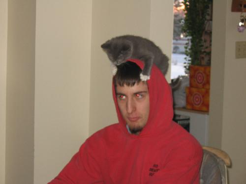 Libby - This is Libby when we first brought her home - she loved to sit on my son's head!
