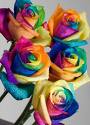 Say it with flowers - flowers