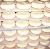 cheese - Cheese Making, Wheels of Jack Cheese Aging on Racks