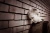 Sad Boy - Should not be sad Sad Boy - Should not be sad