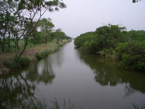 Mai Po - A picture taken from Mai Po, which is an environmental protection district in HK