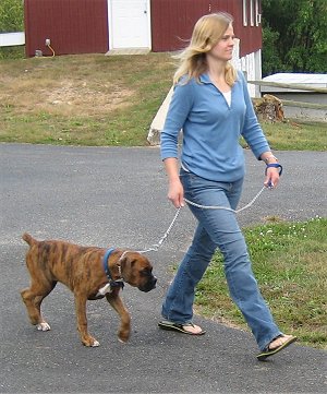 walking - walk in a good place