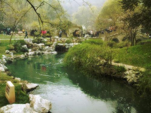 The Prince Harbor Park - The Prince Harbor Park in Hangzhou,China, famous for tulips