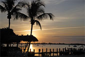 Florida -  Florida Keys, Key Largo, sea and palm trees, sunset