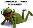Flirting Kermit - Didn't Know Kermit was a flirter