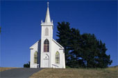 church - Simple white wood frame church stands beside green pine trees