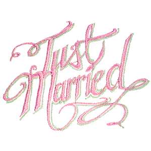 get married - just_married