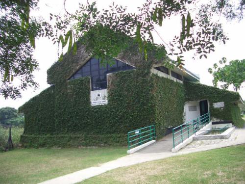 A house in Mai Po - It looks interesting, isn't it?