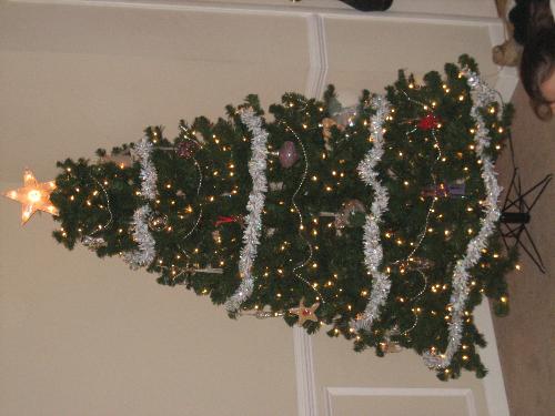 Christmas Tree - This is my Christmas Tree!