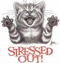 stressed - stress out