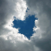 love - love is every where