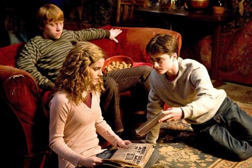 hermione, harry, and ron - hermione, harry, and ron in the gryffindor common room.