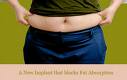baby fat - tummy fat baby fat - tummy fat