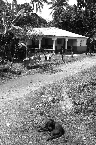 inbetween the shacks - lie nice little houses....rather strange!