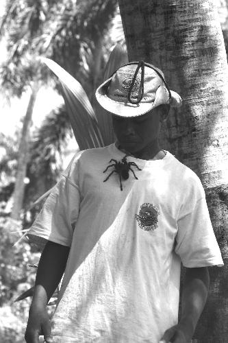no one likes a show off! - what a mess that would leave on his tee shirt if you smacked it with a rolled up newspaper!