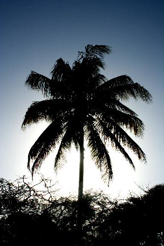 i think this summed up the holiday - hot and coconutty!