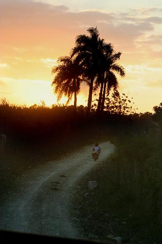 a cyclist rides off into.... - the sunset.