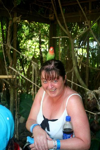 a bird in the head..... - is worth two in a bed! (Hugh Hefner)