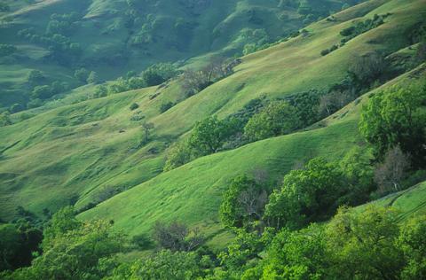 Green hills - So beautiful to see these lush green hills