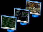 computer software -  There are various online earnings ,which offer the members to get their software installed in their computer and they will monitor the usage of internet and also our surfing habits.Some among them are ,Permission Research.com. tickerbar,gomezpeer.com,cashfiesta.com etc