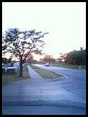 Texas - Texas