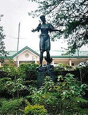 A University in The Philippines - The University of the Philippines in Baguio City.