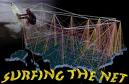 surfing the net -  surfing the net