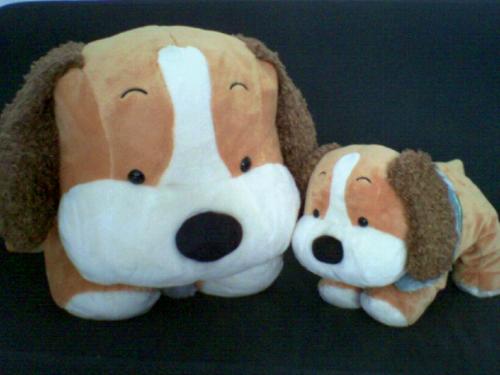 dogs - loving dogs