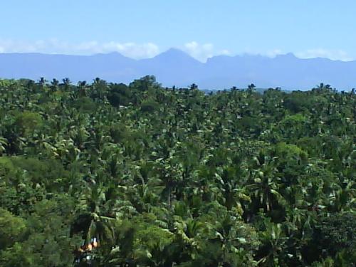 scenary - view from my balcony