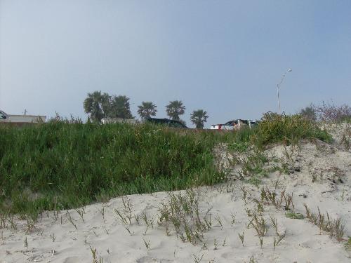 sand dunes - Picture of some sand dunes
