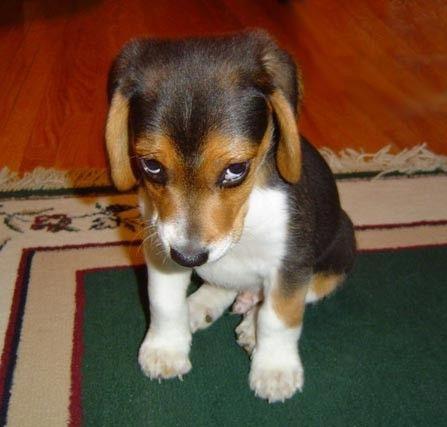 I'm Sorry... - I'm Sorry...