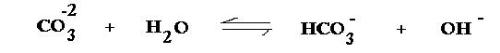 hydrolysis of carbonate - chemical reaction showing the hydrolysis of ...