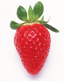 strawberry - Strawberry