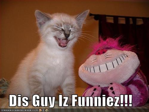 funny cat photo - what a funny photo!!