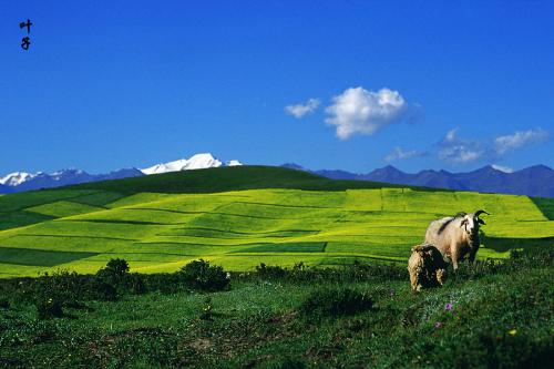 Travel - Travel in China, you will find many amazing things