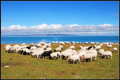 Travel in China - This is in QING HAI province.