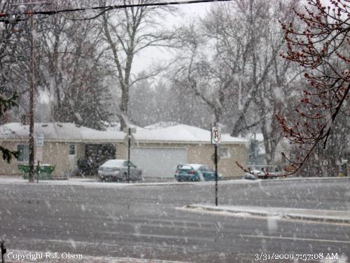 Wet Sloppy Snowstorm - Another great Minnesota storm at the end of March.