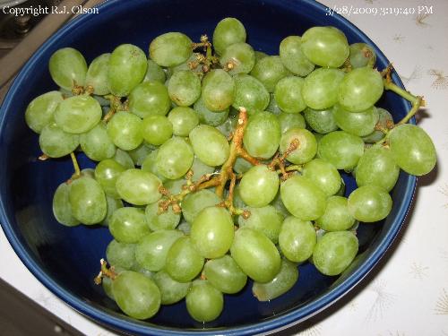 Sweet Green Grapes. - I love green grapes a lot
