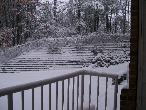 Snow in Midlothian, VA - This is a beautiful photo I took last month during our one and only snow storm of the season in early 2009! This particular picture is of the view from our back patio. I think we got about 6 to 8 inches of snow that day. It was great, schools and many businesses were closed for a couple of days.