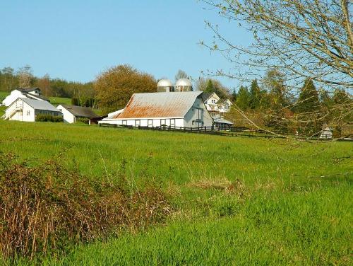farm - the place i love to see again