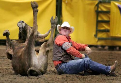 playing around with the bull - a man and a bull lying on the ground
