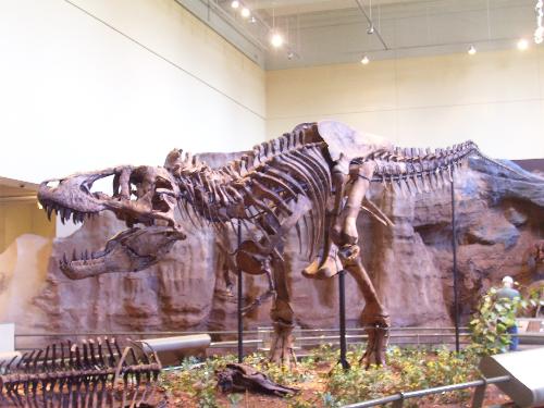 Dinosaur - Another Dinosaur picture from the Museum in Pittsburgh.
