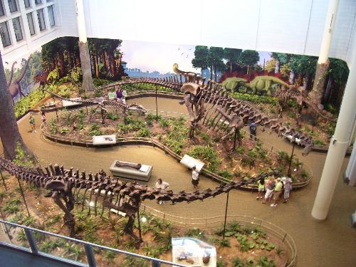 Dinosaur Exhibit - Dinosaurs @ The Museum in Pittsburgh.