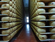 Cheese Factory - Parmigiano reggiano in a modern factory in Italy.