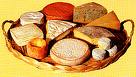 cheese - there are many kinds of cheese in the world
