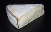 Cheese made in France - Vacherin du Haut-Doubs cheese, a French cheese.