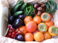 Organic Foods - Organic fruits and veggies offer 50% more nutrition than conventional