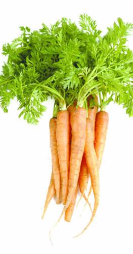 Carrots - Orange carrots which are good for your eye sight.