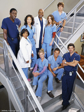 Greys Anatomy - Picture of the cast of greys anatomy