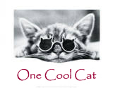 Kittens - picture of a kitten in sunglasses.